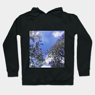 The Sighting Hoodie